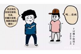 龙潭为什么选择专业追讨公司来处理您的债务纠纷？